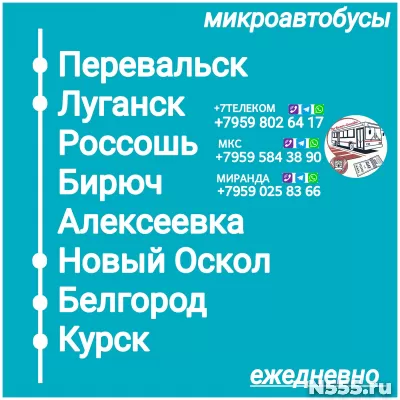 Пассажироперевозки ЛНР - Белгород  - Курск - ЛНР.